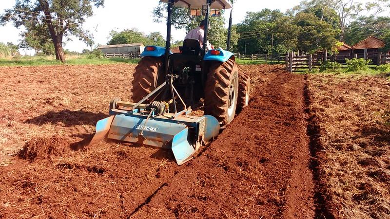 Das 724,4 milhões de toneladas de cana colhidas em 2022, Uberaba foi responsável por 9,7 milhões de toneladas (Foto/Divulgação/PMU)