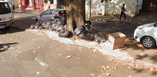 Exemplo de raiz sobre o concreto na avenida Getúlio Guaritá (Foto/Google Maps)