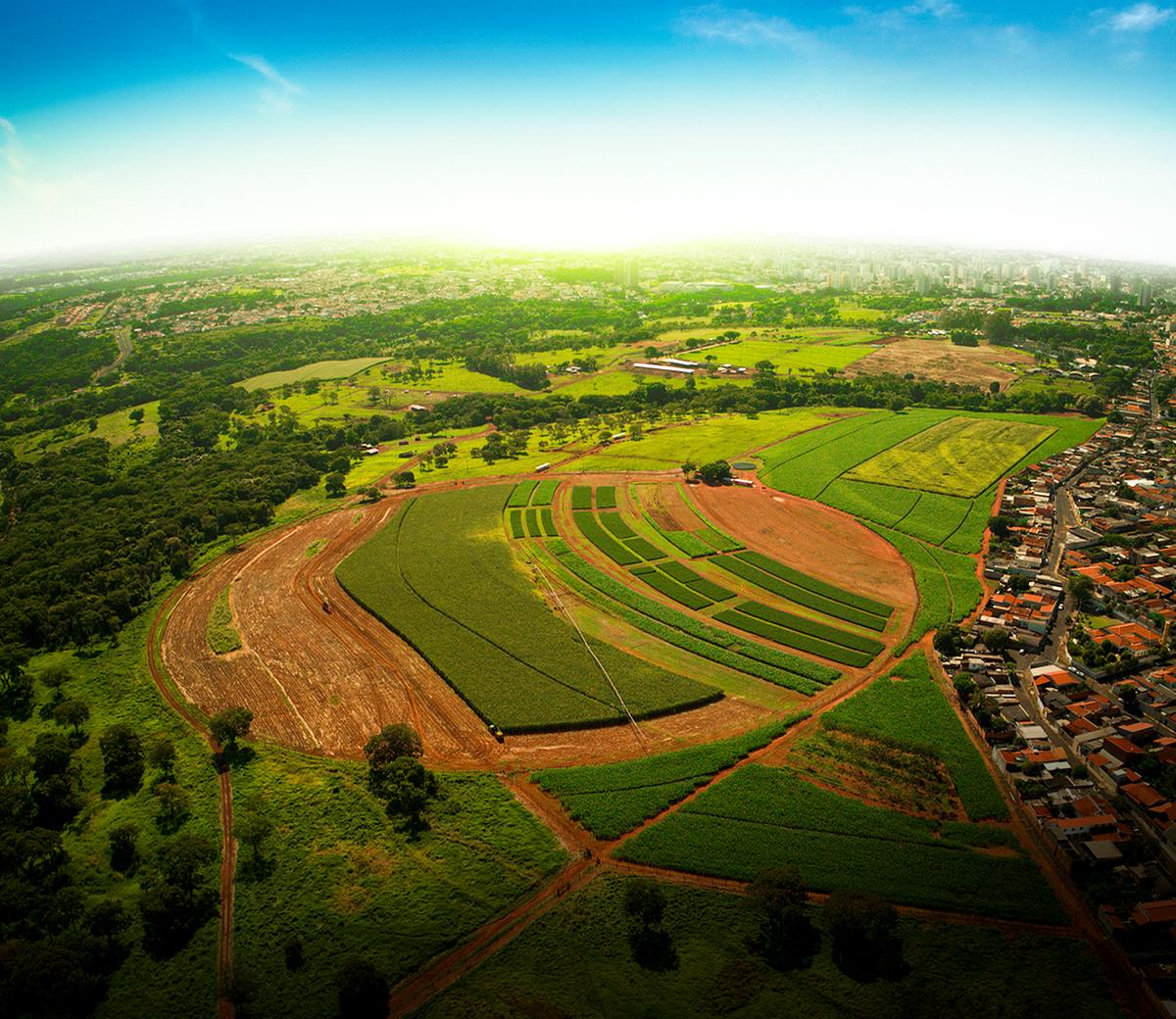 A Fazu conta com uma área destinada à produção vegetal (Foto/Fazu)