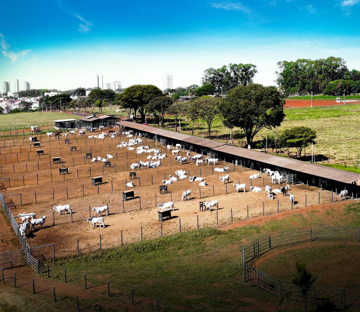 Com cerca de 200 hectares, a fazenda escola da Fazu abriga área de produção animal (Foto/Diogo Ferreira)