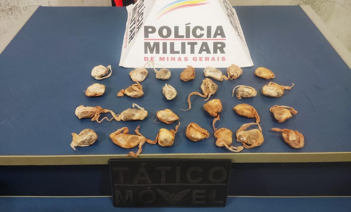 Droga localizada na casa do suspeito após denúncia anônima ao Centro de Operações da Polícia Militar (Foto/Divulgação)