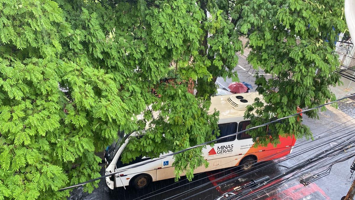 Devido à chuva intensa e à pista molhada de paralelepípedos, o ônibus não conseguiu frear a tempo (Foto/Reprodução)