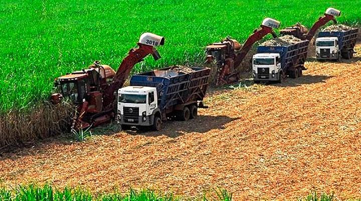 Região do Triângulo Mineiro agronegócio também recebe o impulso das indústrias do setor sucroalcooleiro (Foto: Reprodução)