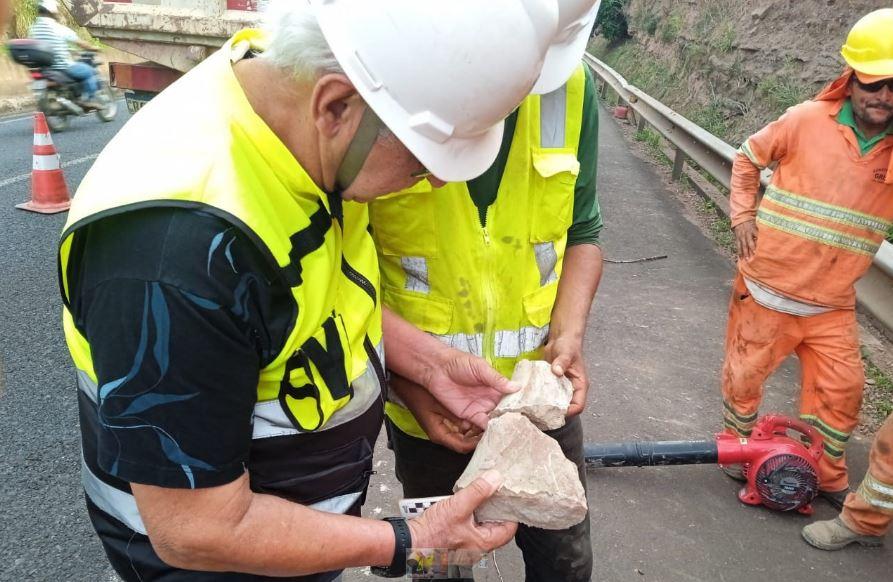 Fóssil encontrado em obras da BR-050 (Foto/Divulgação)