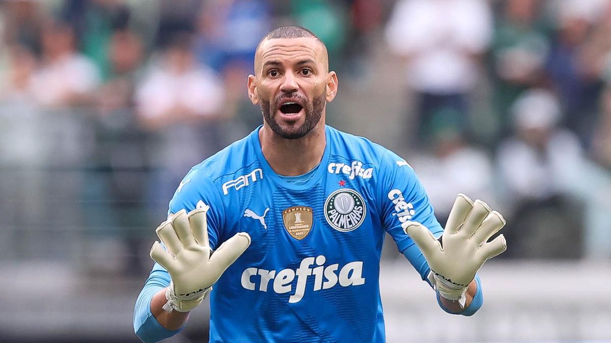 O desempenho de Weverton foi fundamental para o Palmeiras chegar à última rodada do Brasileirão como líder (Foto/César Greco/Palmeiras)