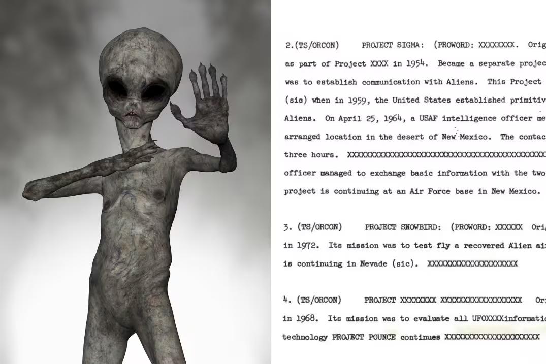 Parte do documento vazado na internet que aponta encontro de autoridades dos EUA com alienígenas (Foto/Freepik e Reprodução/Reedit)