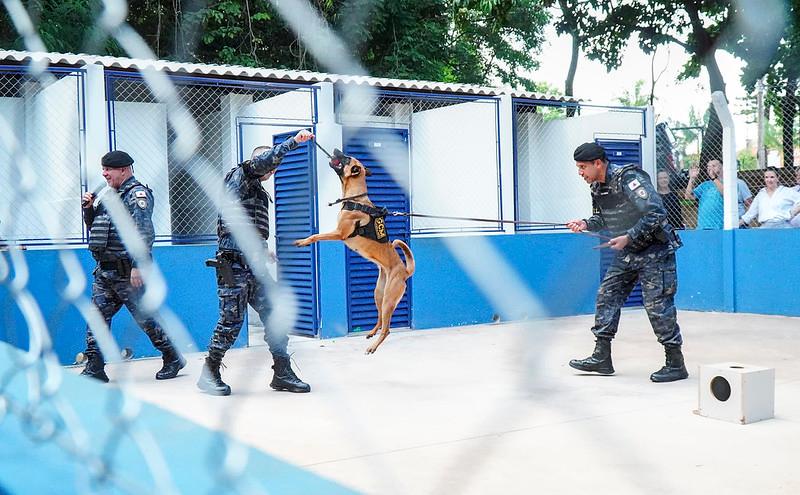  (Foto: Lílian Veronezi/PMU)