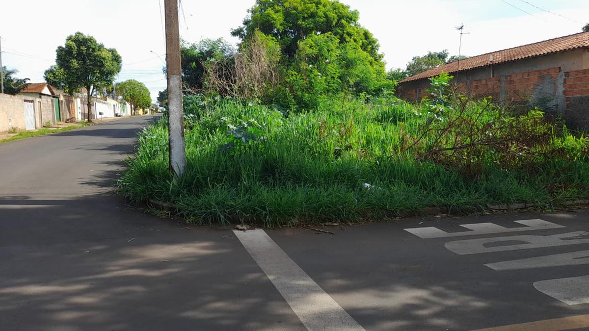 Terreno no bairro de Lourdes está abandonado  