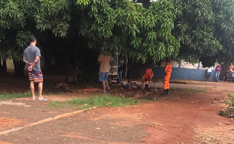 Bombeiros e Polícia Militar foram acionados por comerciante, que se surpreendeu com o corpo em uma mangueira (Foto/Divulgação)