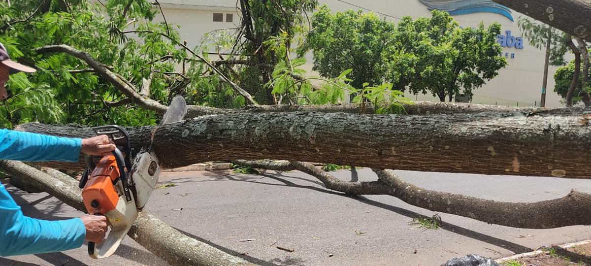  (Foto/Divulgação)