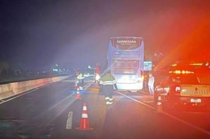 Equipes da concessionária e do Corpo de Bombeiros socorreram o motorista e providenciaram a retirada do animal morto da pista (Foto/ Divulgação)