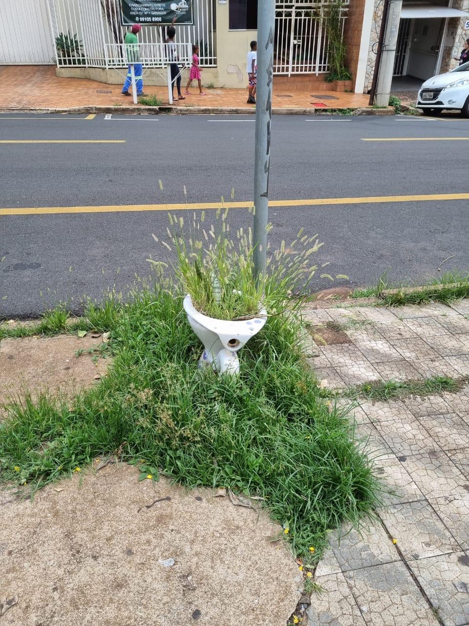 Segundo a moradora, o mato está alto há tanto tempo que já começou a nascer dentro de louça sanitária descartada de forma irregular (Foto/Leitora JM)