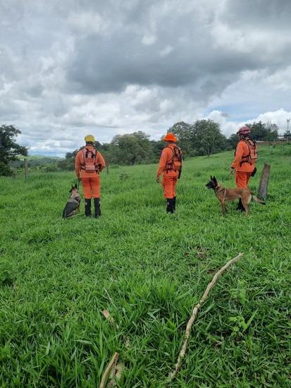 A expectativa é que os cães farejadores permaneçam no município, que fica a cerca de 273 quilômetros de Uberaba, até que as buscas sejam finalizadas e o homem encontrado (Foto/Divulgação)