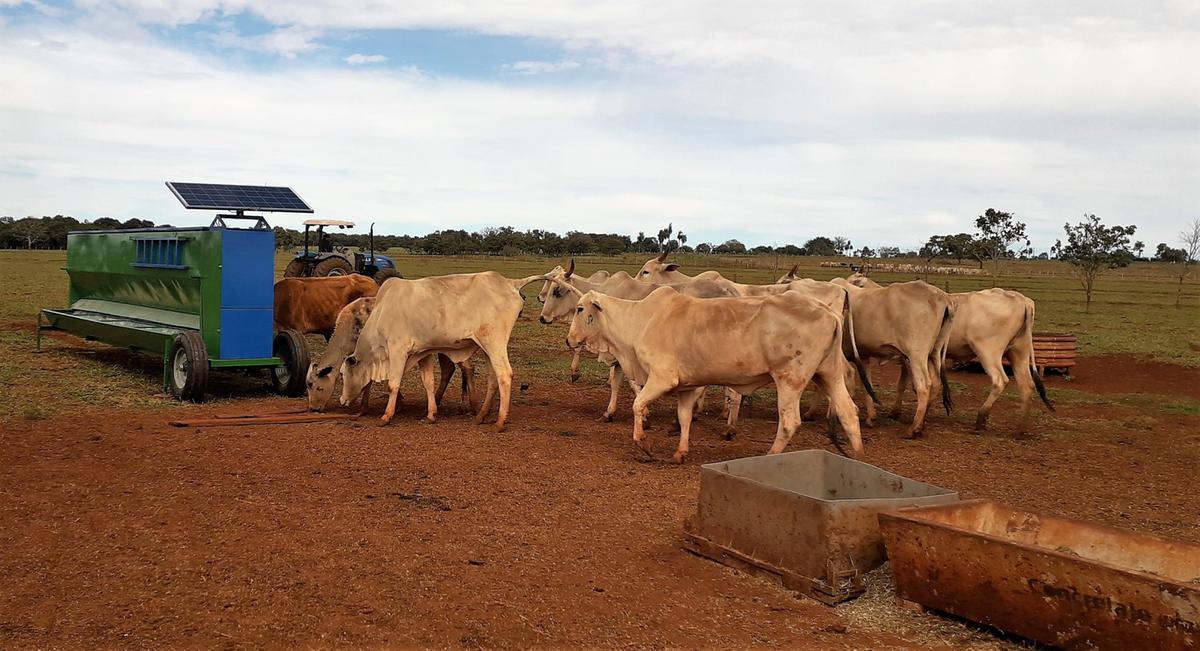 Os cochos automatizados terão condições de apurar em cada animal a quantidade de alimento relacionada à produção de carne e leite (Foto/Divulgação)