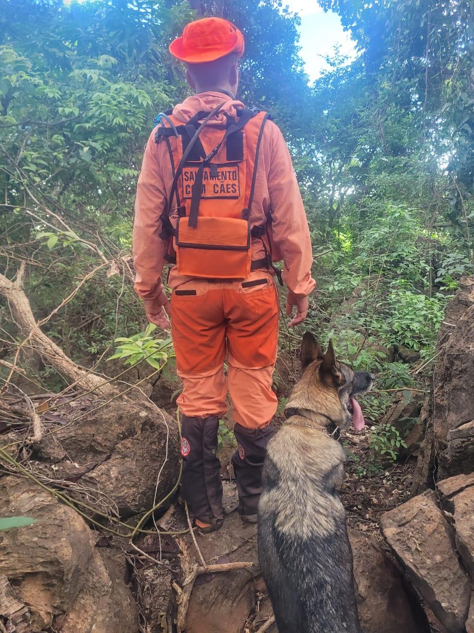 Cães treinados foram utilizados na busca por pessoa desaparecida (Foto/Reprodução)