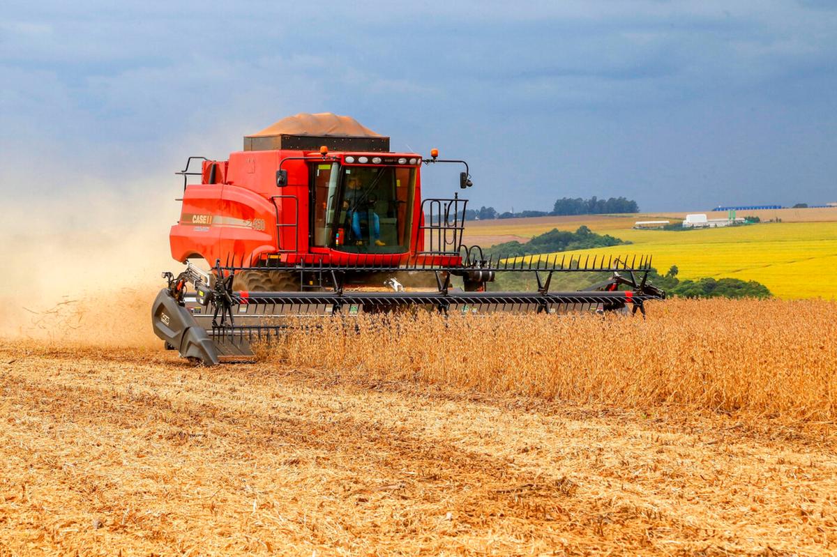 Primeiros números relativos à colheita de soja este ano apontam para uma produtividade de 62 sacas por hectare (Foto/Reprodução)