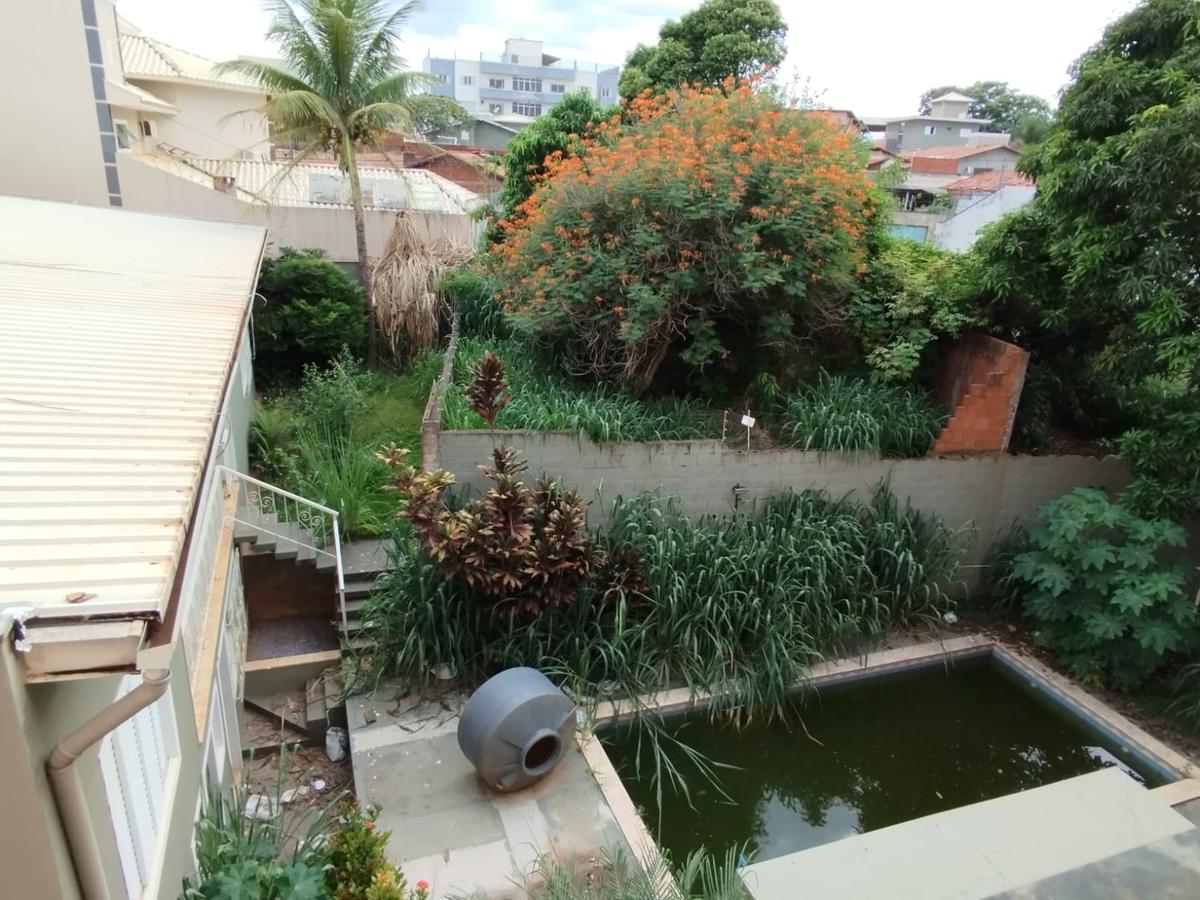 A piscina, com água completamente esverdeada, sugere que não é limpa há muito tempo (Foto/Divulgação)