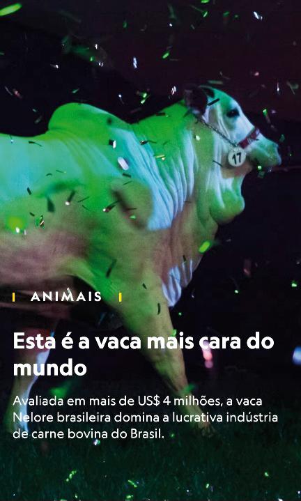 Capa da referida matéria do National Geographic by Carolina Arantes (Foto/Reprodução)