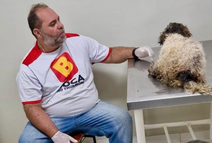 Vereador Túlio Micheli acompanhou o atendimento prestado pelo Hospital Veterinário ao cãozinho resgatado na tarde de domingo (Foto/Reprodução)