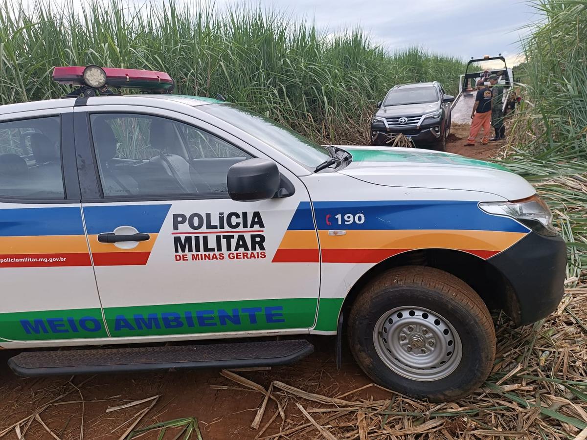  (Foto/Divulgação)