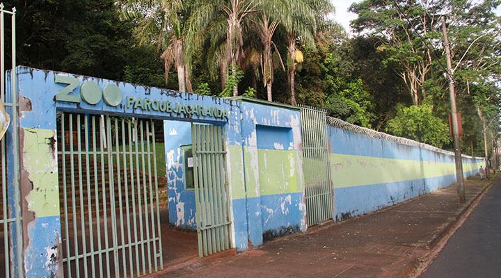 A Prefeitura afirma que a Mata do Ipê e ao Bosque Jacarandá permanecem sob os cuidados da administração municipal (Foto/Arquivo)