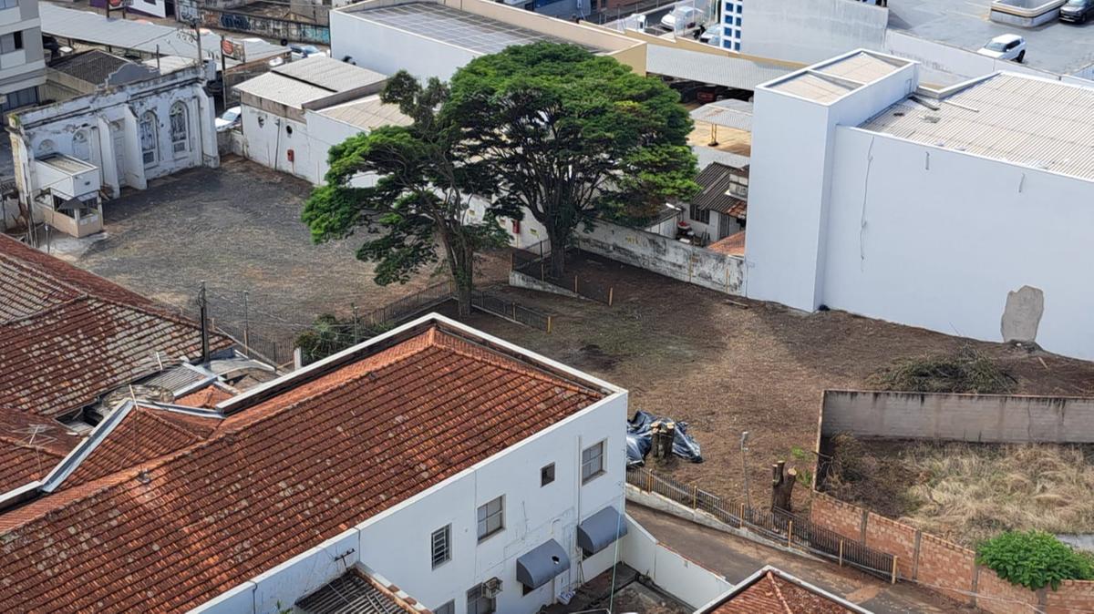 As punições para cortes irregulares estão previstas no Código Municipal de Meio Ambiente (Foto/Divulgação)