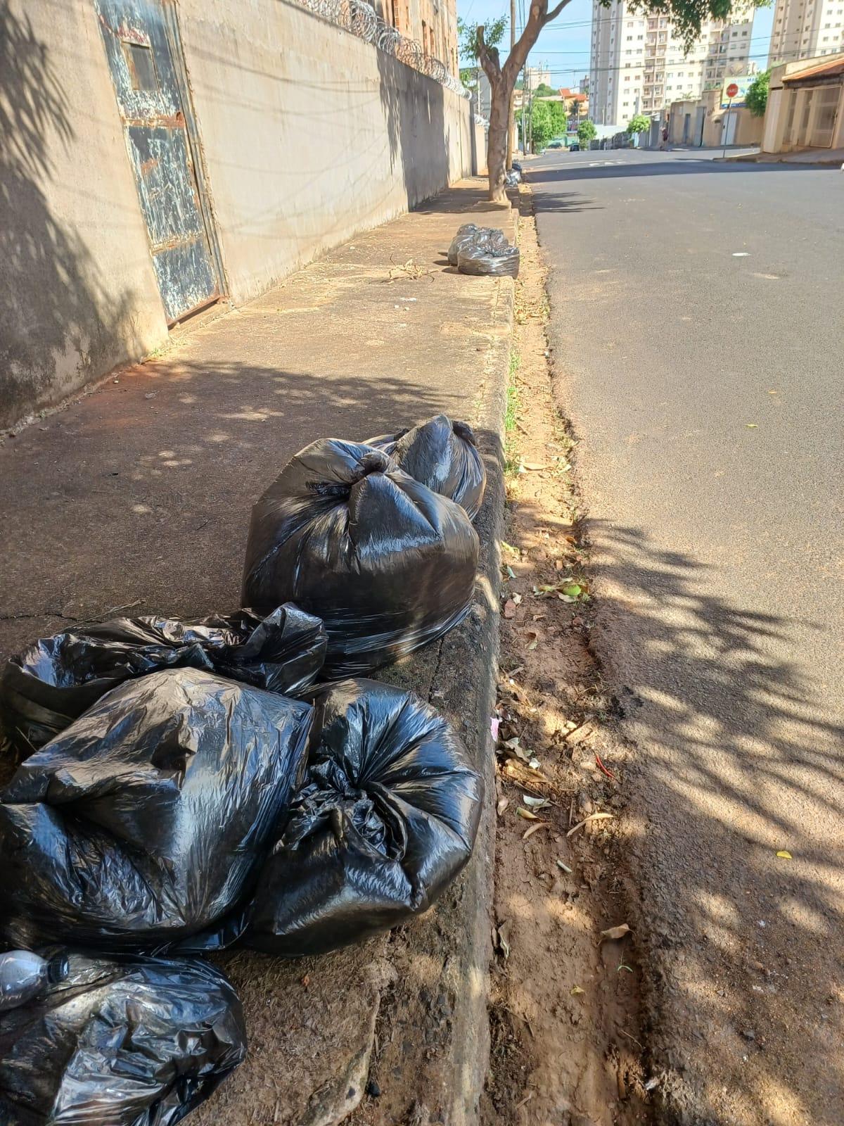 Ao Jornal da Manhã, a moradora relata que a limpeza foi feita na última quinta-feira (22). Porém, o material orgânico foi abandonado (Foto/Divulgação)