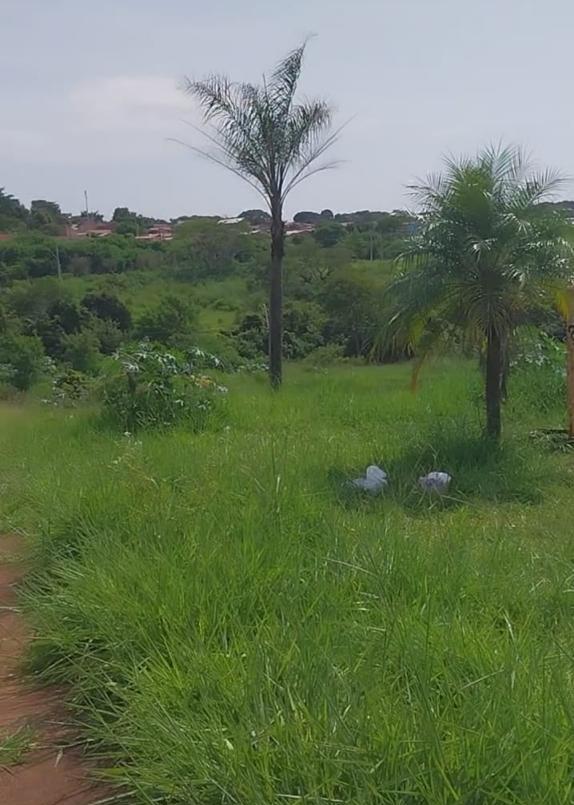 Segundo o vereador, já solicitou a limpeza da praça do Anatê e adjacências, mas seus pedidos não são repassados à Codau (Foto/Divulgação)