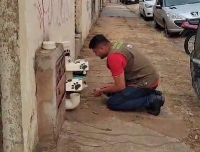 Colaborador da Superintendência de Bem-Estar Animal afixando dispensers de água e comida para os gatos do lado de fora do imóvel (Foto/Divulgação)