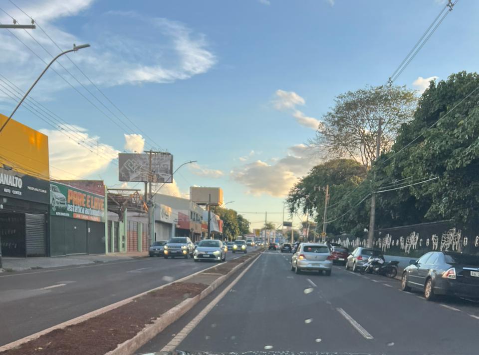 A retirada das palmeiras no canteiro central da avenida gerou reclamação (Foto/Larissa Prata)