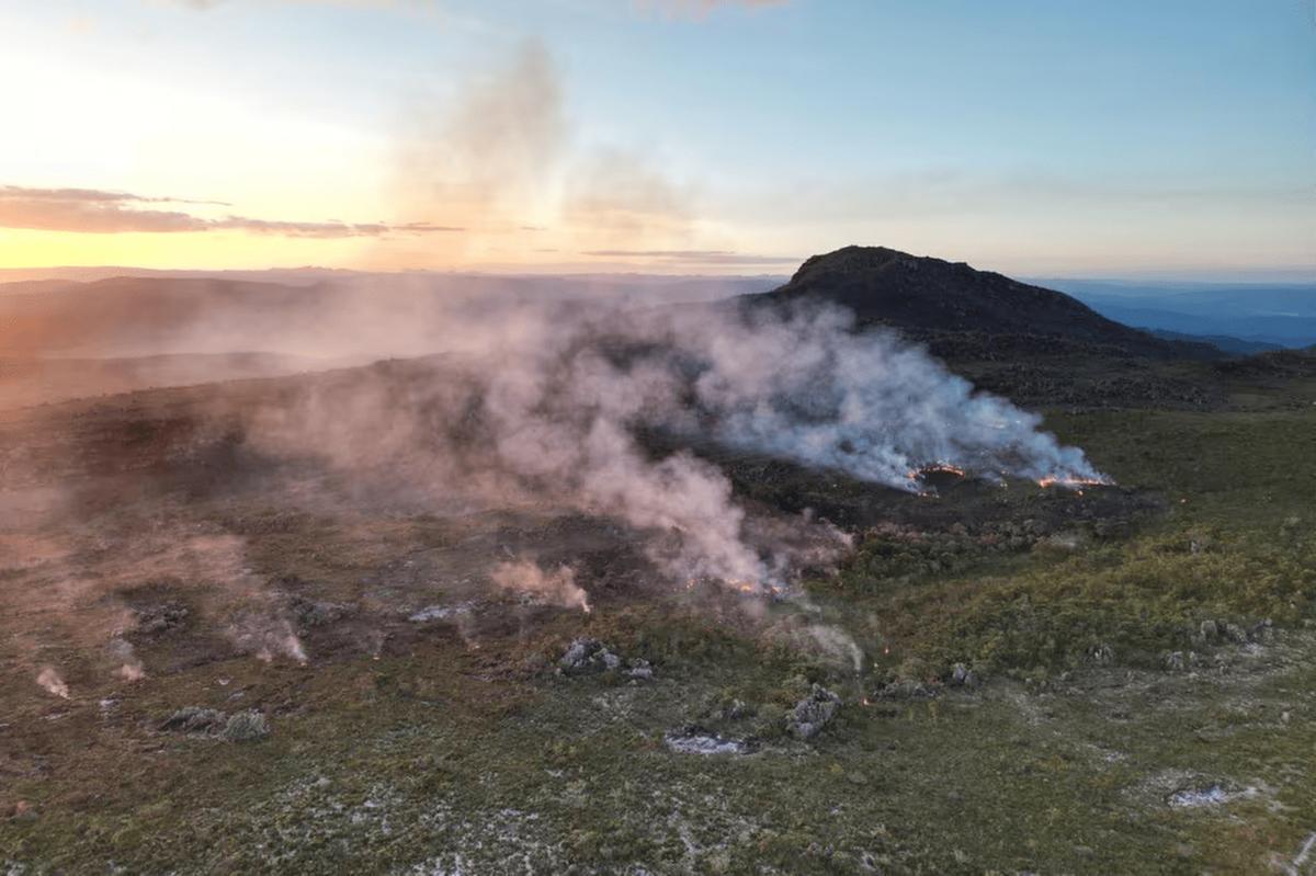 Especialistas apostam no manejo integrado do fogo para evitar incêndios no período de seca (Foto/Rodrigo Hetch Zeller/Imagens cedidas)