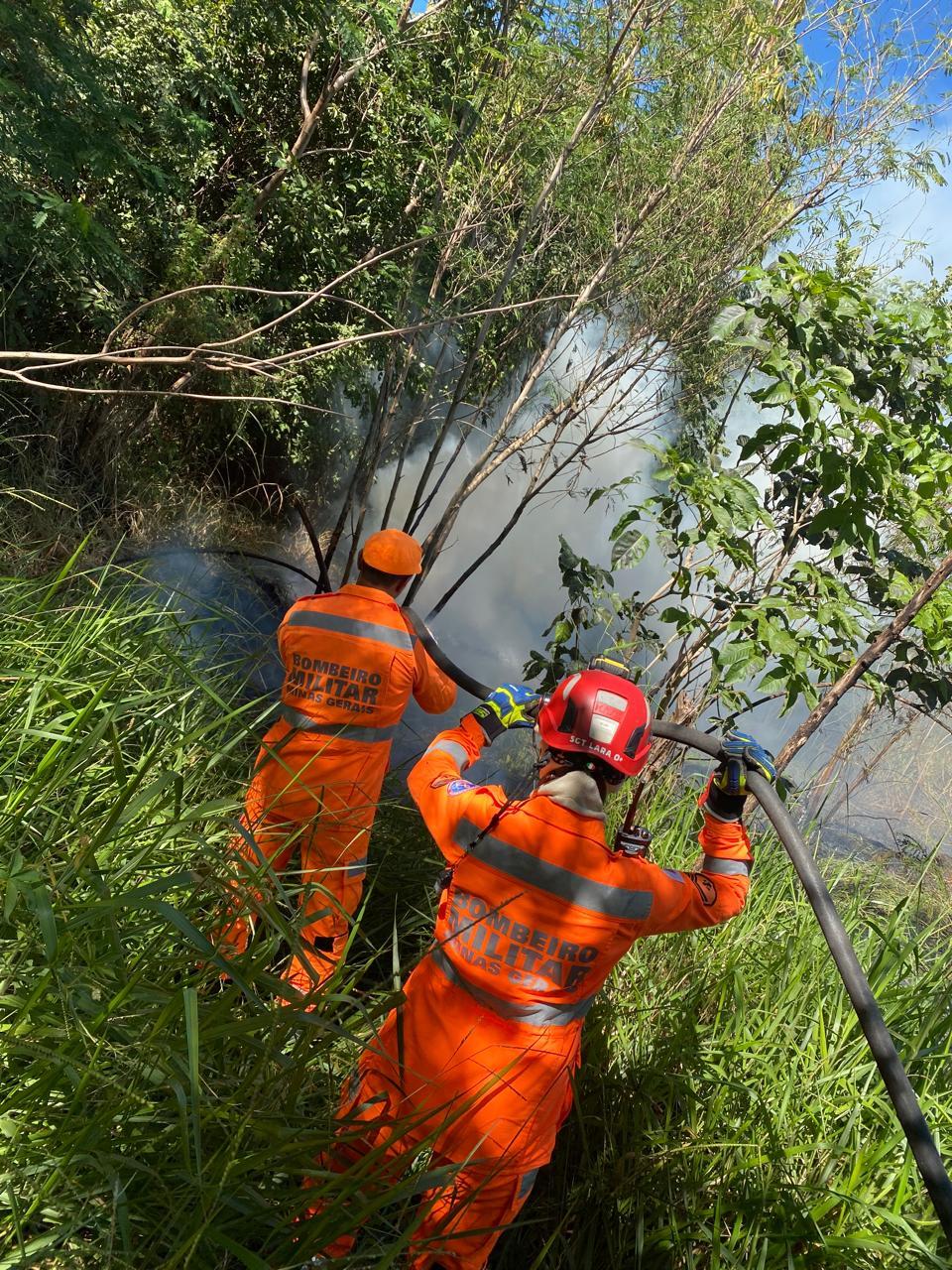 Ao chegar ao local, os bombeiros se depararam com a mata em chamas, com cerca de 1 metro e meio de altura de vegetação seca (Foto/Divulgação)