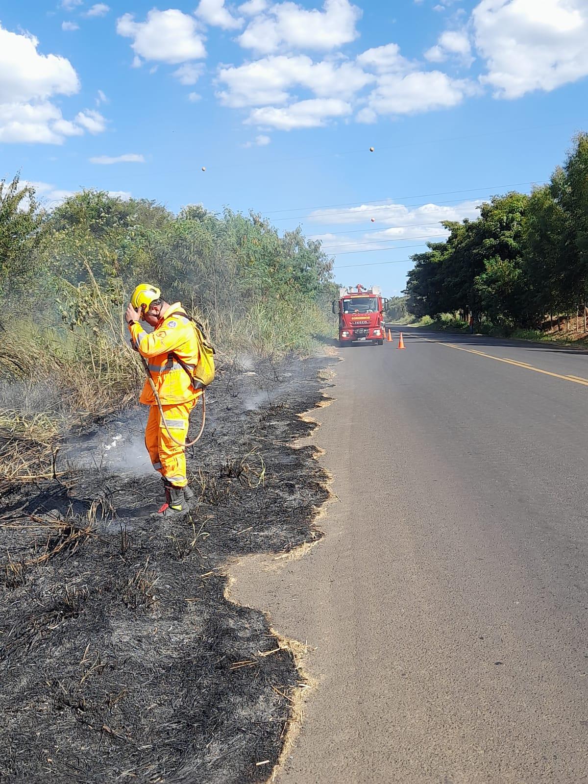 Em ação coordenada, combateram o fogo em ambos os lados da rodovia, evitando que se alastrasse ainda mais (Foto/Divulgação)