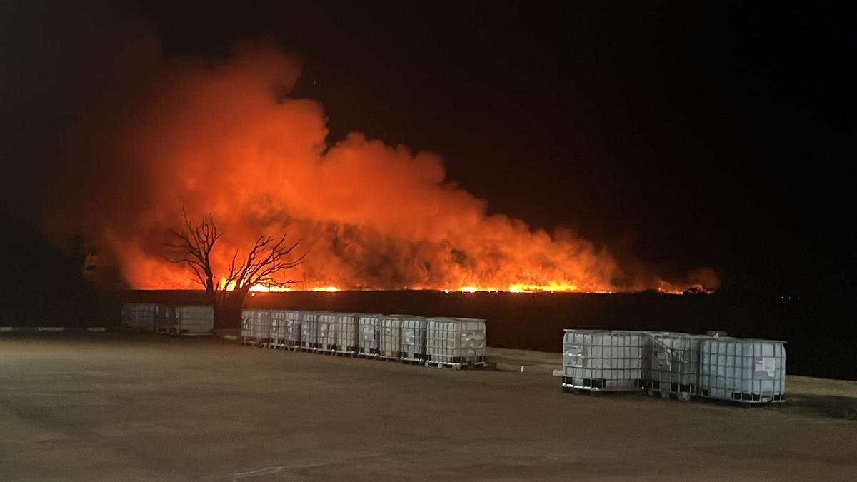 Incêndio chegou perigosamente perto da empresa (Foto/Reprodução)