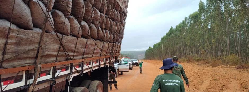Governo de MG diz ter aumentado a fiscalização para evitar o avanço do desmatamento (Foto/Sisema/Divulgação)