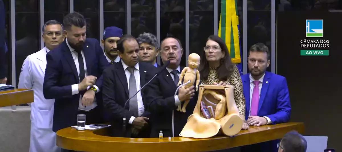 Reprodução do aborto por deputado na Câmara (Foto/Reprodução)