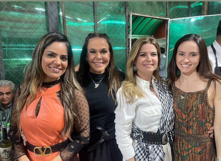 Daniele Mendes, Fernanda Rodrigues da Cunha, Ana Paula Sabino e Karina Cintra (Foto/Divulgação)