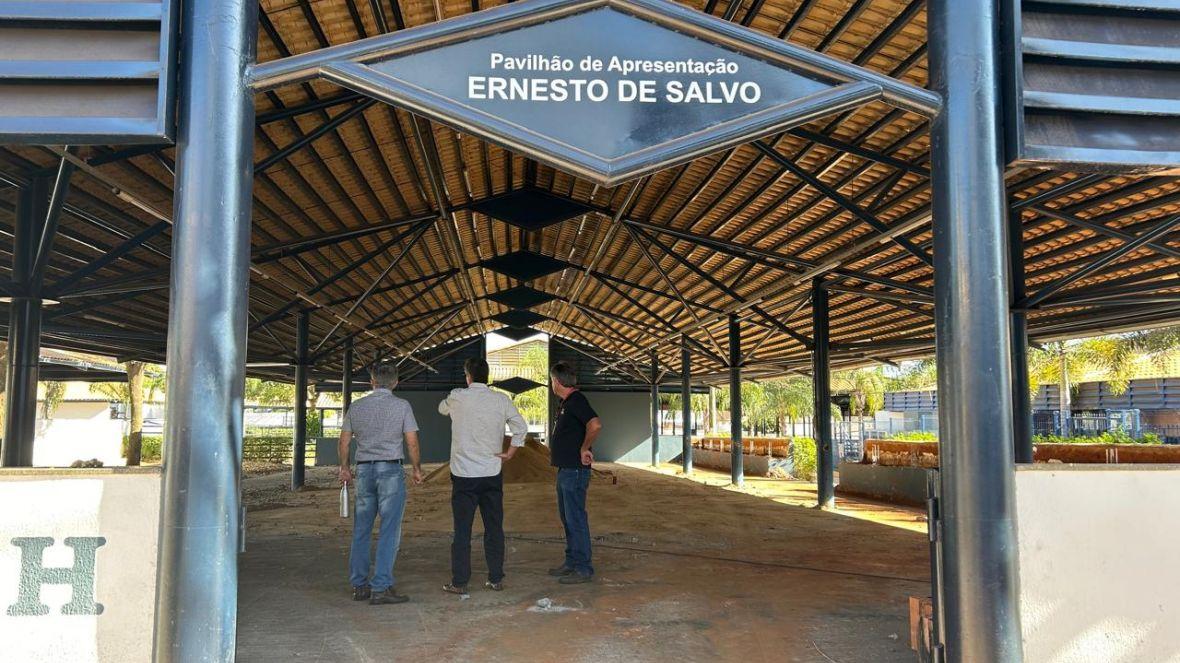 A construção dos pavilhões vai ampliar a capacidade da mostra de animais nos leilões realizados no Tatersal Rubico de Carvalho (Foto/Divulgação)