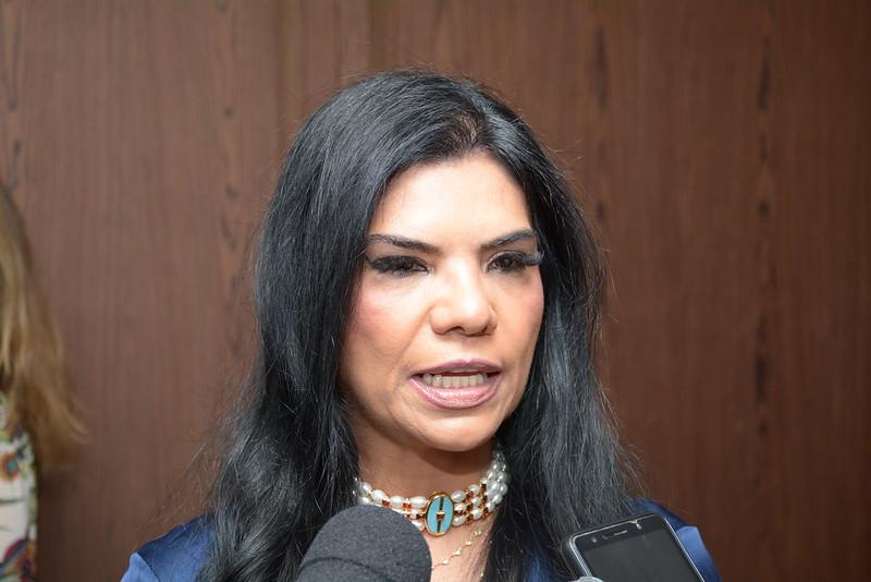 A juíza Régia Ferreira de Lima passa a integrar a 12ª Câmara Cível em decorrência da aposentadoria do desembargador Geraldo Domingos Coelho (Foto/Divulgação)