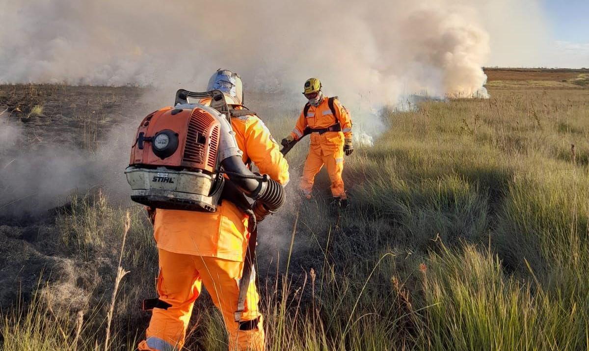 Este ano, o Corpo de Bombeiros de Uberaba já atuou em 171 ocorrências de queimadas na região (Foto/Divulgação)