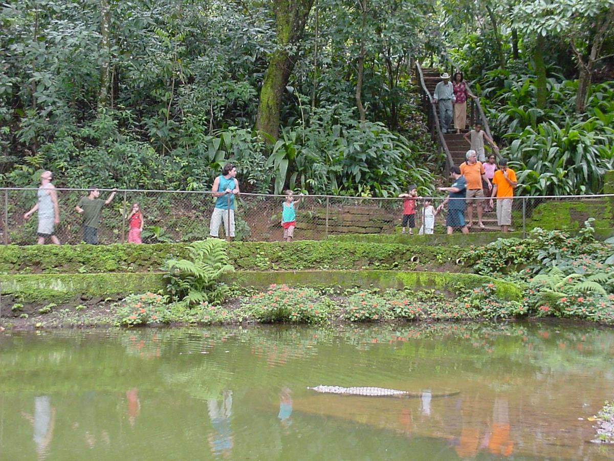 Bosque está desativado desde 2020 (Foto/Arquivo JM/Jairo Chagas)