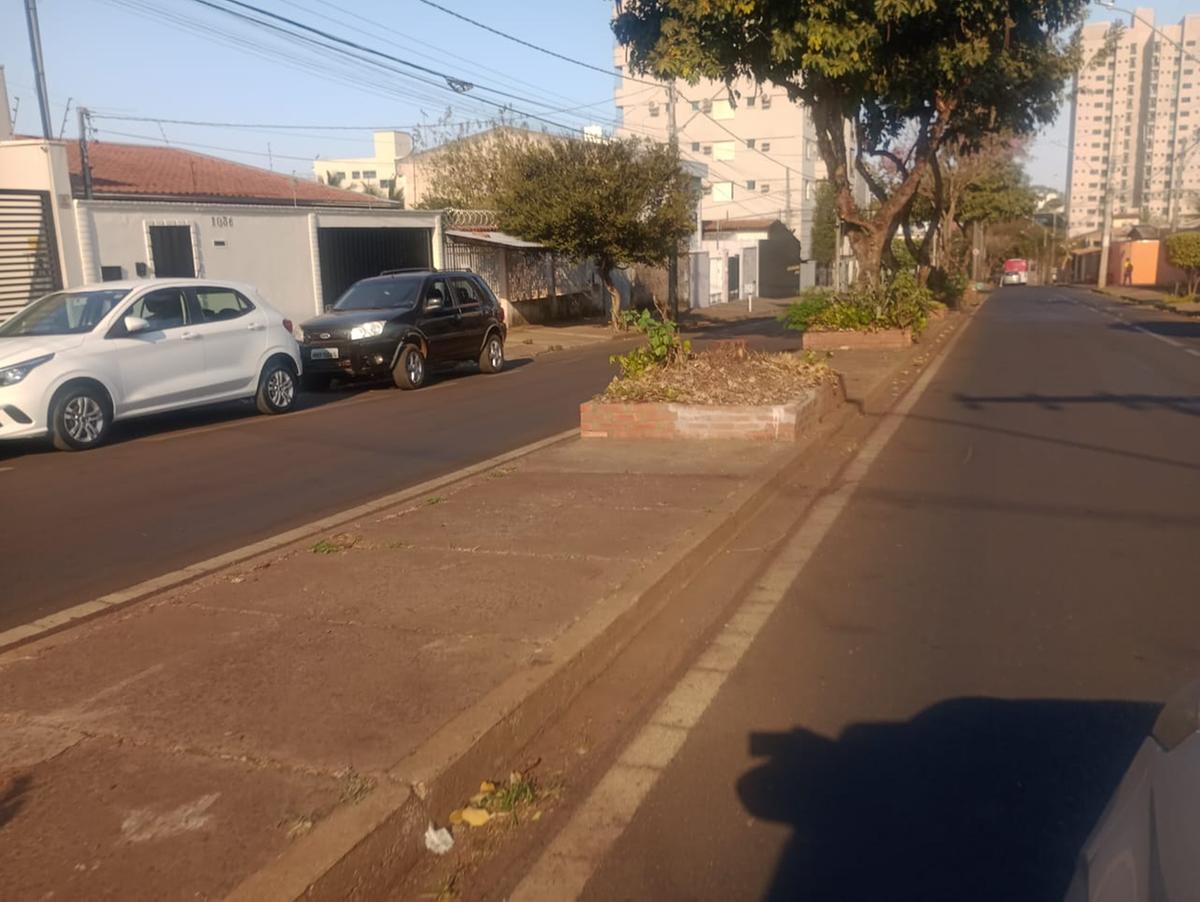 Árvores da avenida Maranhão foram retiradas devido a comprometimento fitossanitário (Foto/Jornal da Manhã)