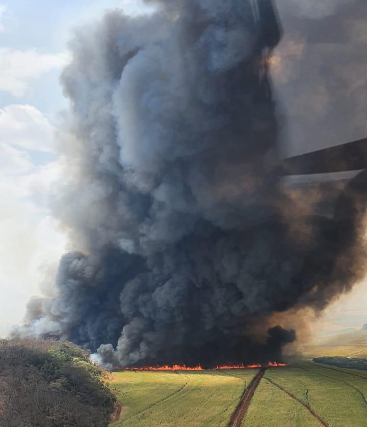 Incêndio na zona rural de Uberaba (Foto/Reprodução)