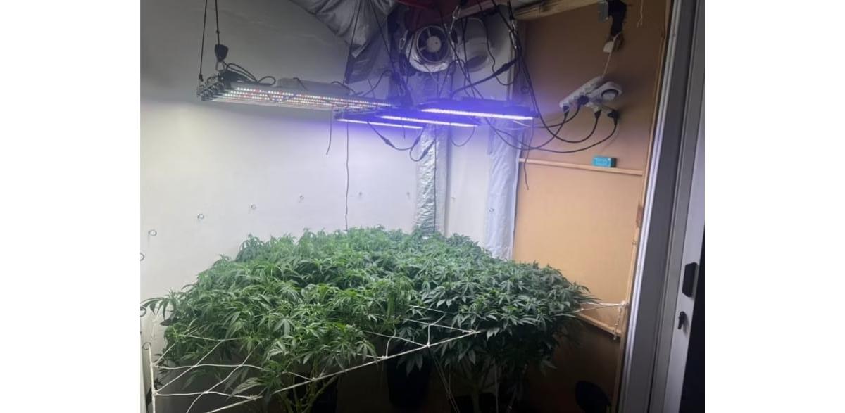 o espaço contava com iluminação artificial, sistema de refrigeração e de irrigação (Foto/Divulgação/PMMG)
