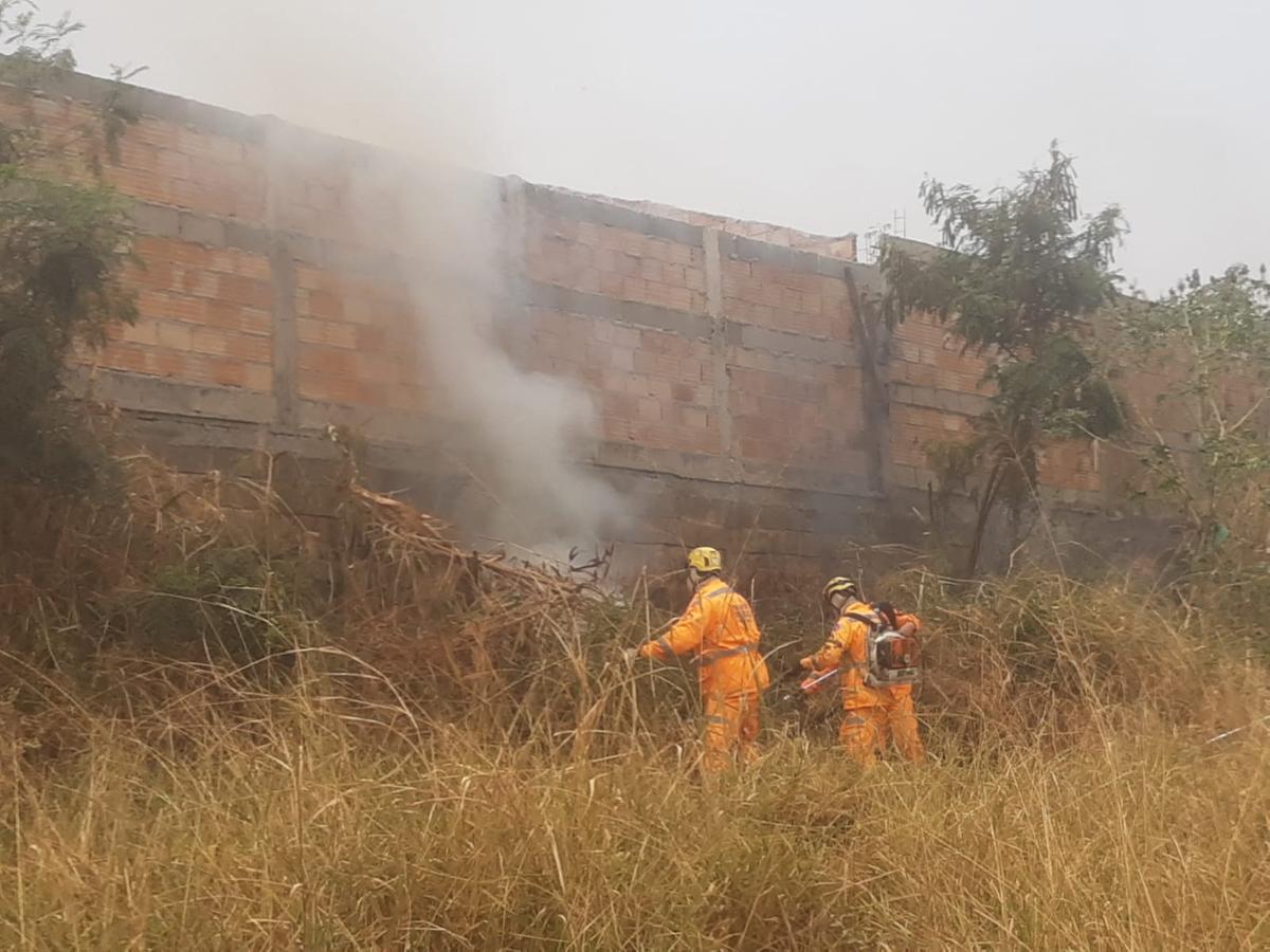 Incêndio no Alfredo Freire II destruiu cerca de 1.200 m² de vegetação (Foto/Divulgação)