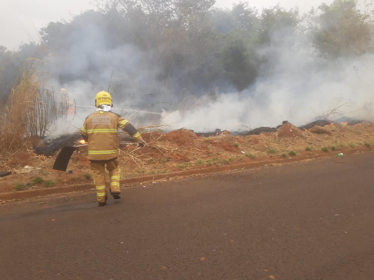 200 hectares de pasto e vegetação foram destruídos pelas chamas (Foto/Divulgação)