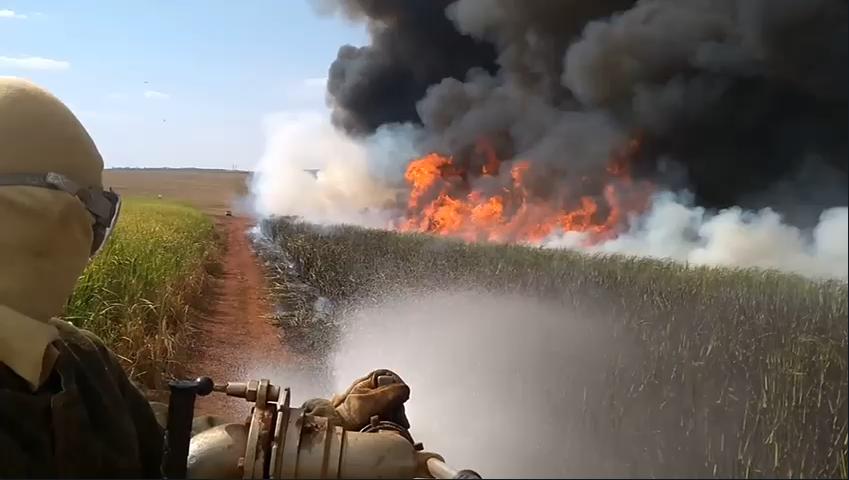 Combate a incêndio na zona rural (Foto/Reprodução)