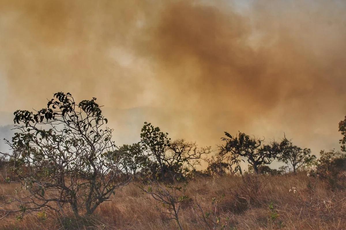 Seca prolongada, devido a atuação do fenômeno El Ninõ, pode aumentar número de incêndios em áreas verdes em Minas Gerais (Foto/Cristiane Mattos)