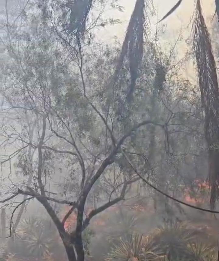 Fogo consumindo parte da vegetação próximo à Fazenda Epamig (Foto/Reprodução)