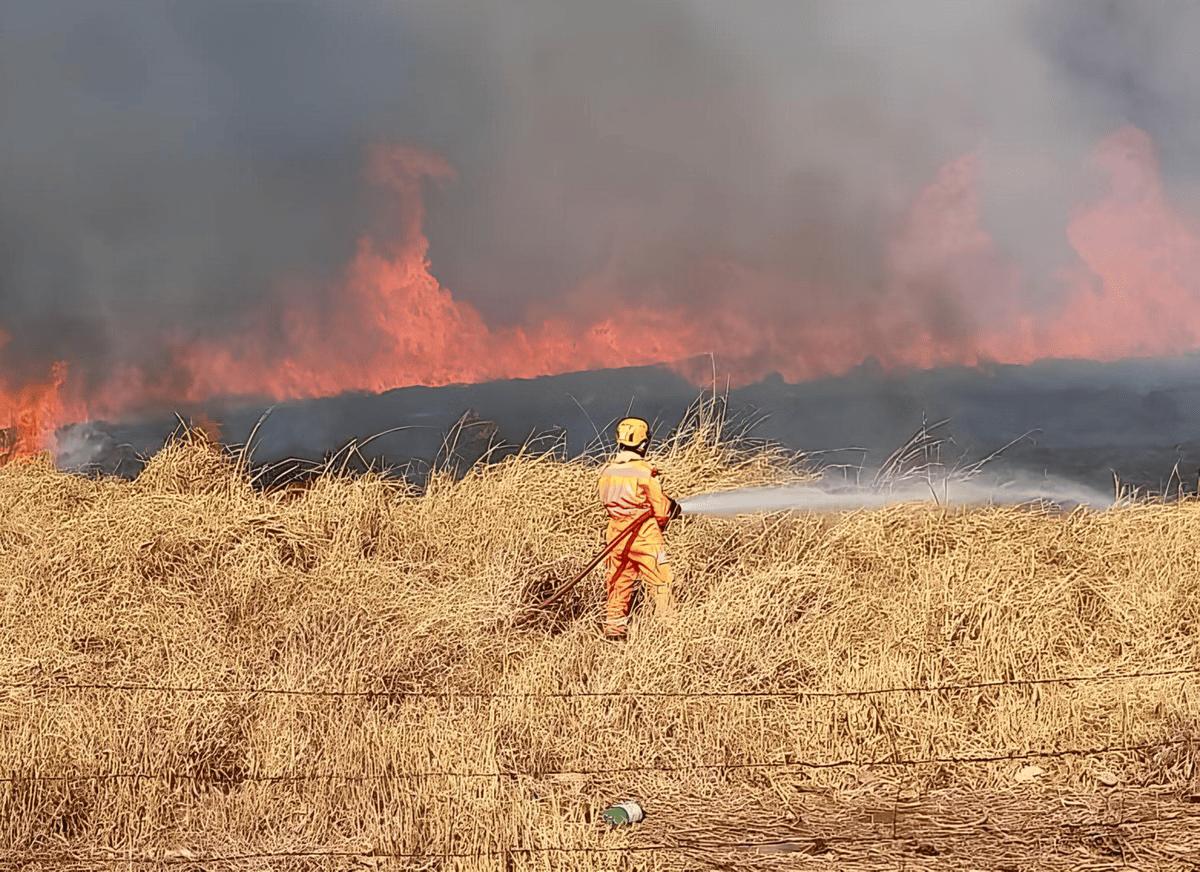 Militar do Corpo de Bombeiro combate incêndio florestal em Ituiutaba (MG) (Foto/Corpo de Bombeiros/Divulgação)